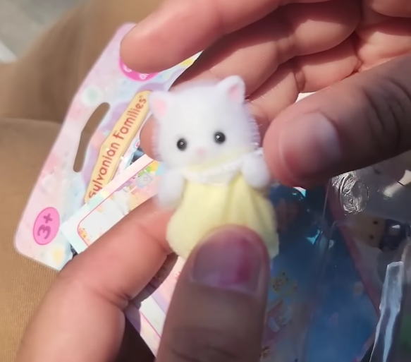 Captura de pantalla 2026-01-16 001856